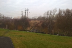 WP_20151224_09_57_21_Pro
