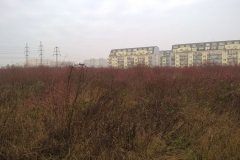 WP_20151224_09_59_37_Pro