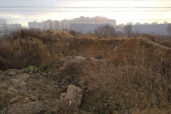 WP_20151224_10_02_41_Pro
