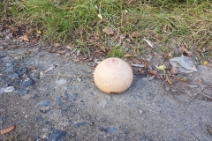 20191031_153019