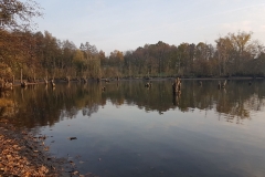 20191031_154328