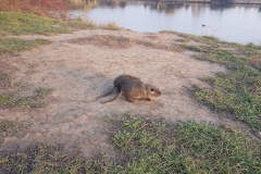 20191031_155044